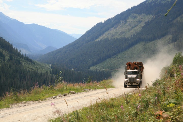 Cedar logs being hauled northeast of Kamloops, B.C.