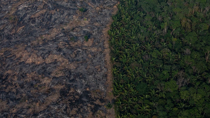 A section of the Amazon rainforest is shown after being decimated by wildfires on Sunday in the Candeias do Jamari region near Porto Velho, Brazil. According to Brazil's National Institute of Space Research, the number of fires detected by satellite in the Amazon region this month is the highest since 2010.