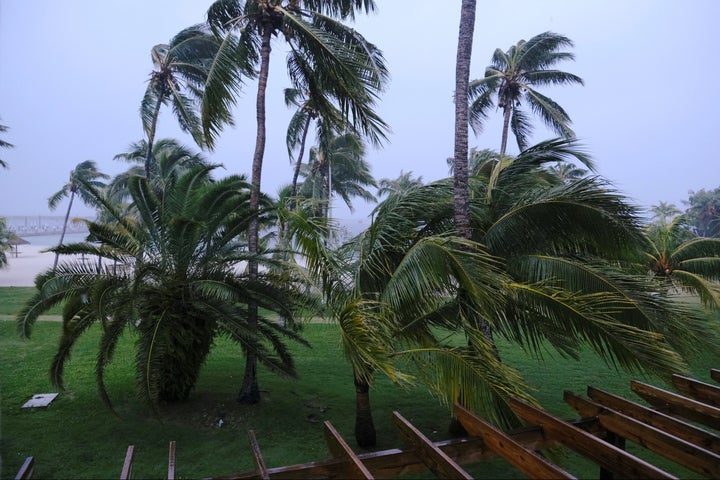 Palm trees blow in the wind during the arrival of Hurricane Dorian in Marsh Harbour, the Great Abaco Island, Bahamas, on Sunday.