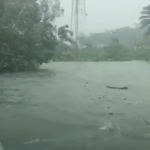 L'ouragan Dorian frappe les îles Abacos avec des rafales à 295