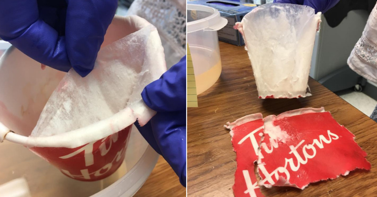 Why Can’t Coffee Cups Be Recycled? These Photos Show The Real Reason