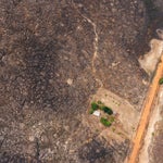 Γιατί δεν γίνεται τίποτα για να σταματήσει η καταστροφή στον