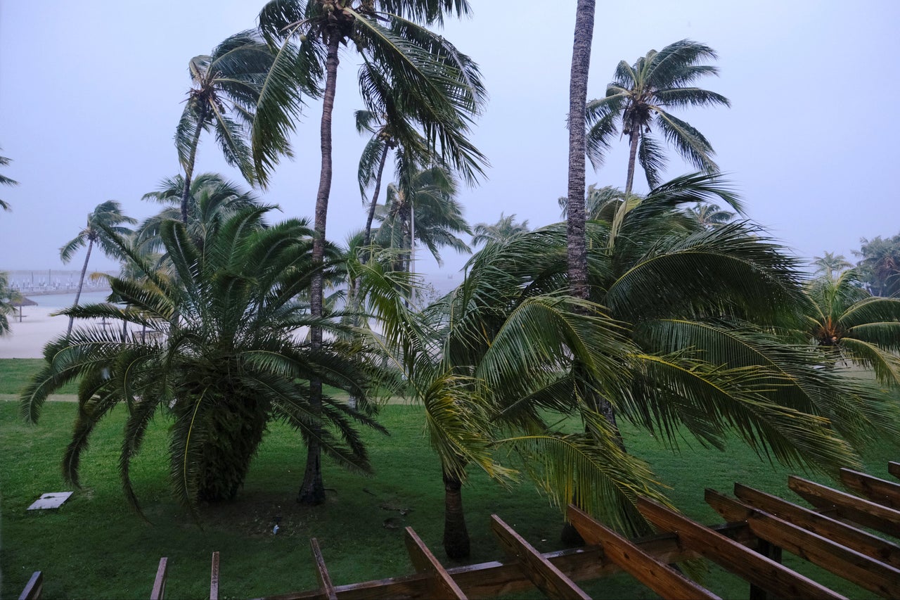 Palm trees blow in the wind during the arrival of Hurricane Dorian in Marsh Harbour, the Great Abaco Island, Bahamas, September 1.