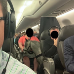 Un cheval miniature prend l'avion aux