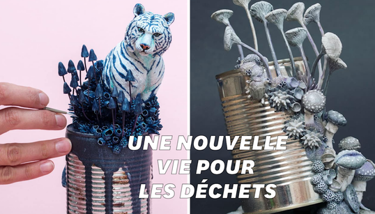 Les boîtes de conserve reprennent vie entre les mains de cette