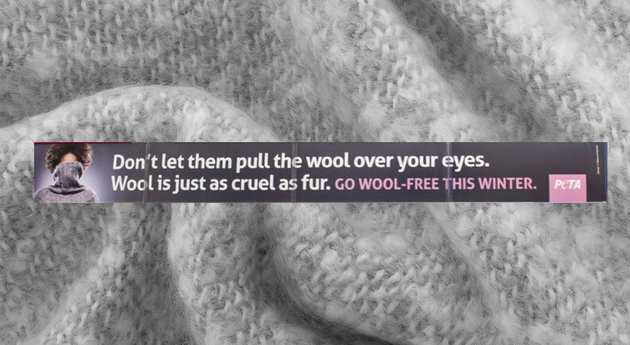 Peta Ad Banned for Wool Is Just As Cruel As Fur Claim