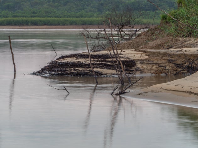 Bank of the Amazon river during the low water season. Amazonia. Jungle on the border of Brazil and Peru. South America.Bank of the Amazon river during the low water season. View from the deck of a cargo boat on sunrise of the moon. Amazonia. Peru. South America.