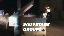 Un ourson bloqué dans une poubelle délivré... sous les yeux de sa