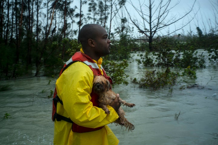 A volunteer looks for the owner of a dog he rescued from the rising waters of Hurricane Dorian, on a flooded road near the Causarina bridge in Freeport, Grand Bahama, Bahamas, Tuesday, Sept. 3, 2019. The storm’s punishing winds and muddy brown floodwaters devastated thousands of homes, crippled hospitals and trapped people in attics. (AP Photo/Ramon Espinosa)