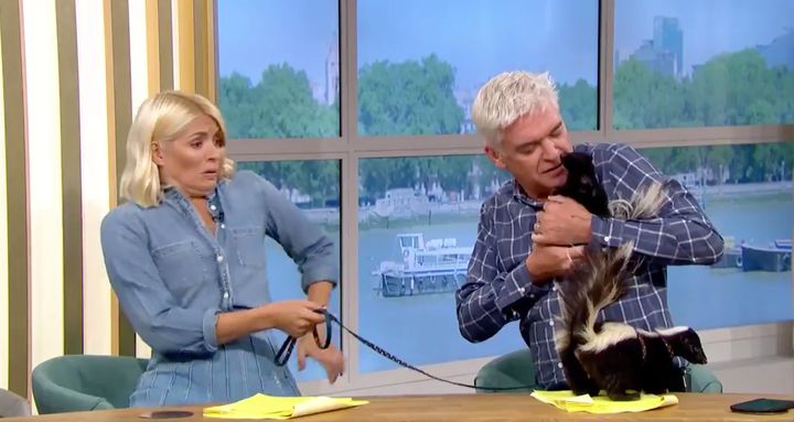 Holly Willoughby and Phillip Schofield met a pair of skunks