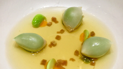 Aponiente