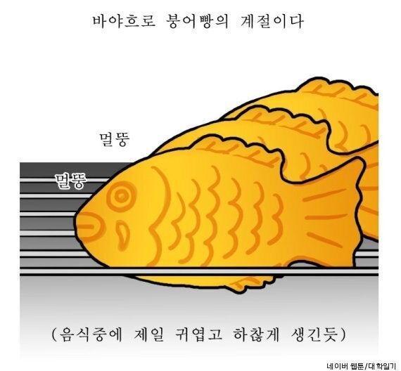 슈크림 이미지