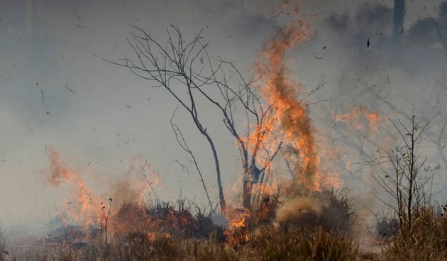 Instagram Scammers Are Using The Fires In The Amazon To Rip People Off Huffpost