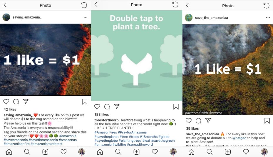 Instagram scammer accounts claim they will donate money and plant trees in exchange for "likes."
