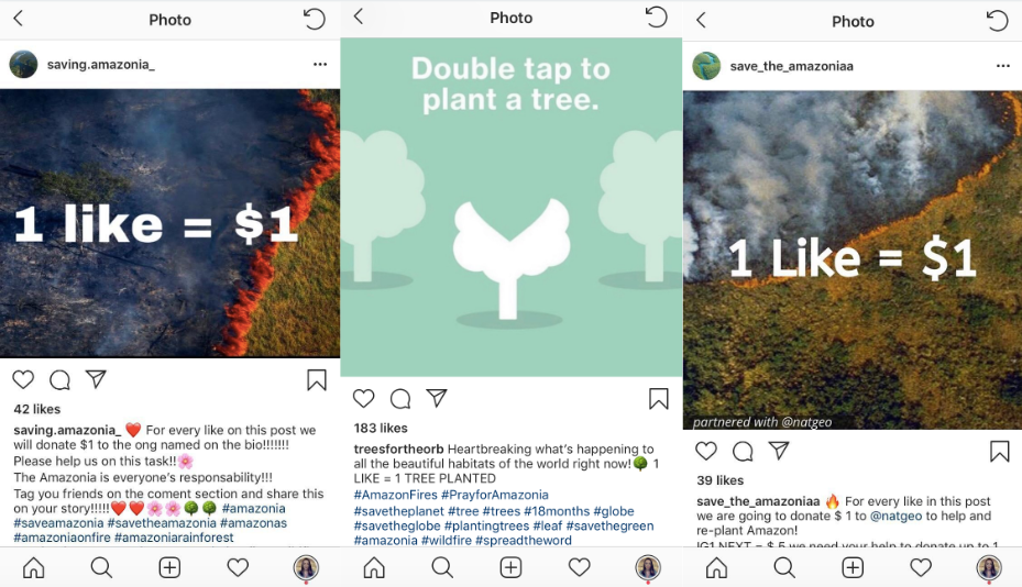 Image result for fake donation on amazon rainforest instagram