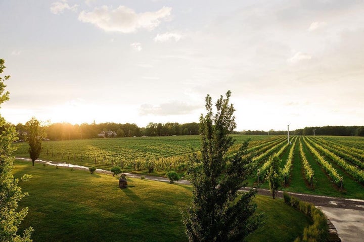 Vignobles Rivière du Chêne