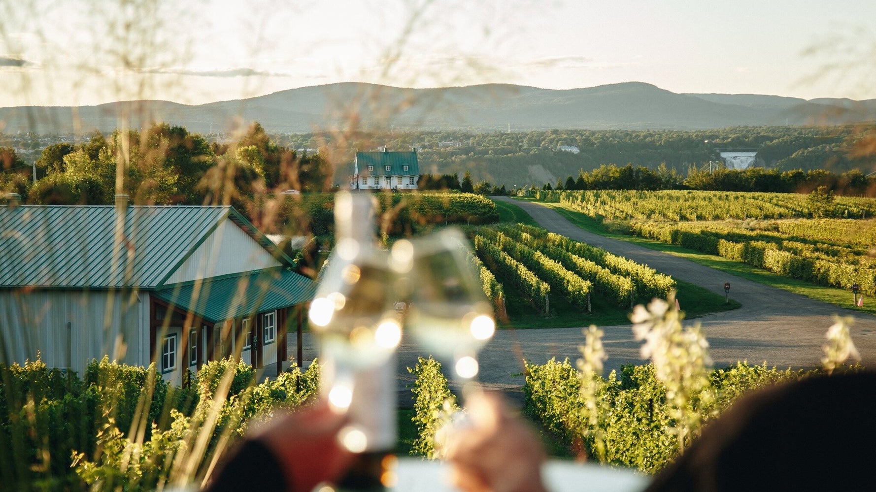 Download 10 Vignobles Quebecois Ou Feter La Saison Des Vendanges Huffpost Free Get Wallpaper 10 Vignobles Quebecois Ou Feter La Saison Des Vendanges Huffpost For iPhone Free