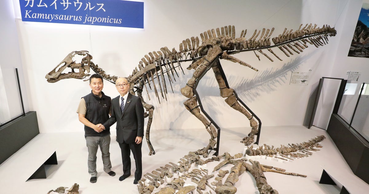 新種恐竜 カムイサウルス と命名 アイヌ語由来 意味は 日本の恐竜の神 ハフポスト News 新種恐竜 カムイサウルス と命名 アイヌ語由来 意味は 日本の恐竜の神 ハフポスト News