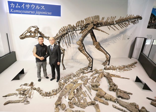 新種恐竜 カムイサウルス と命名 アイヌ語由来 意味は 日本の恐竜の神 ハフポスト 新種恐竜 カムイサウルス と命名 アイヌ語由来 意味は 日本の恐竜の神 ハフポスト