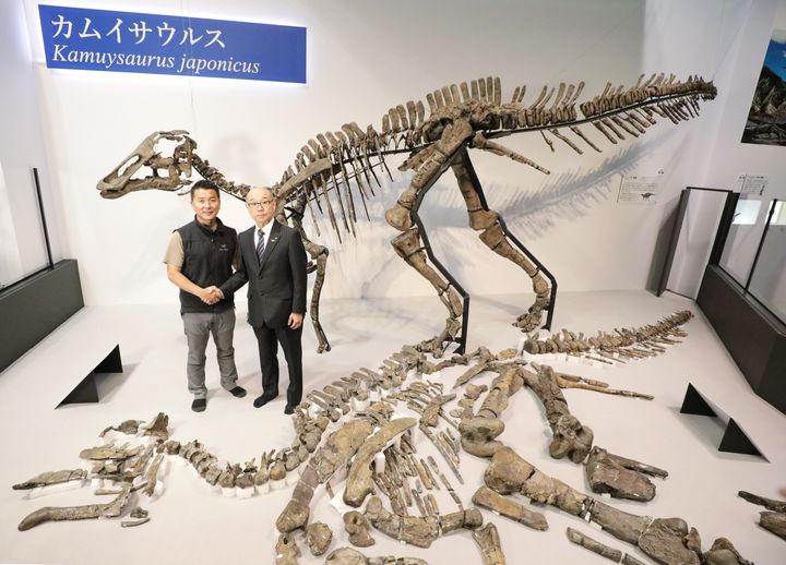 「カムイサウルス・ジャポニクス」と命名されたむかわ竜の化石（手前）と骨格標本の前で握手する、北海道大学の小林快次教授（左）と北海道・むかわ町の竹中善之町長＝9月4日、東京都台東区 