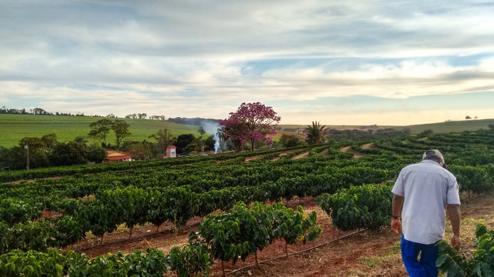 "Existem regiões que a agroecologia consegue atender, mas 100% é muito complicado", explica bióloga sobre condições do solo brasileiro.
