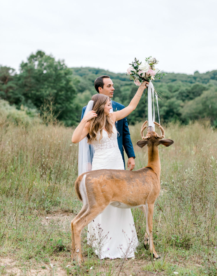 The deer kept his eyes on the prize.