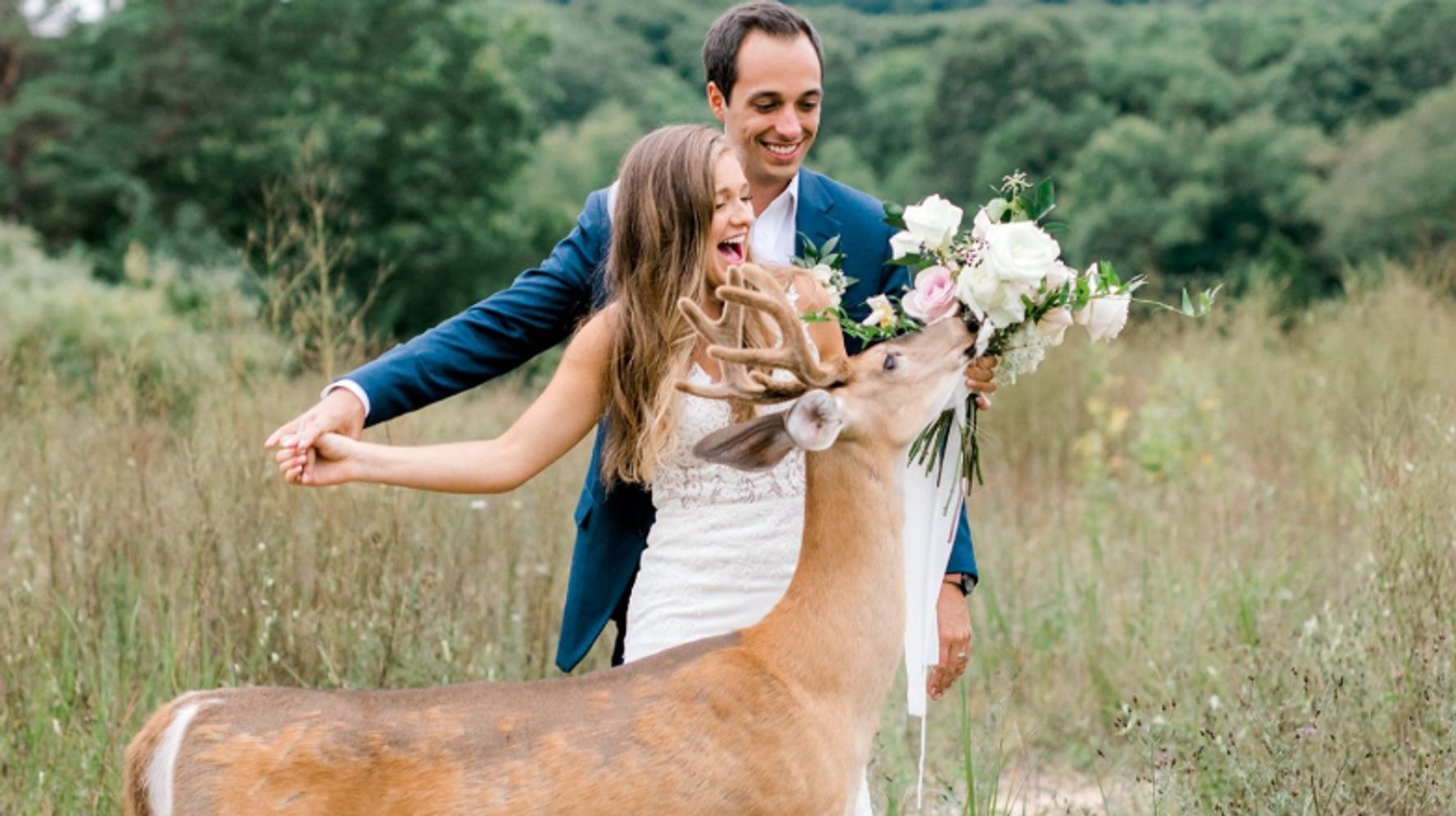 Oh Deer This Buck Photobombed A Couples Wedding Photos Huffpost Life