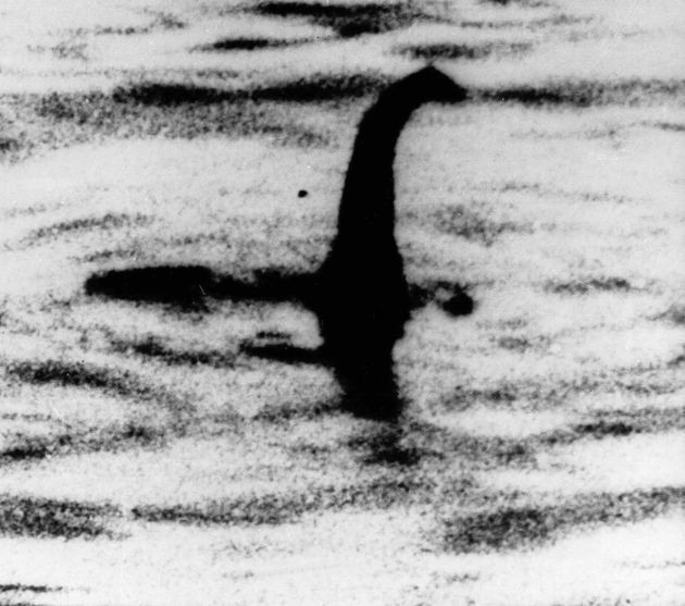 の 正体 ネッシー ネッシー最新写真！ ネス湖の未確認生物の正体と、有名な画像・映像