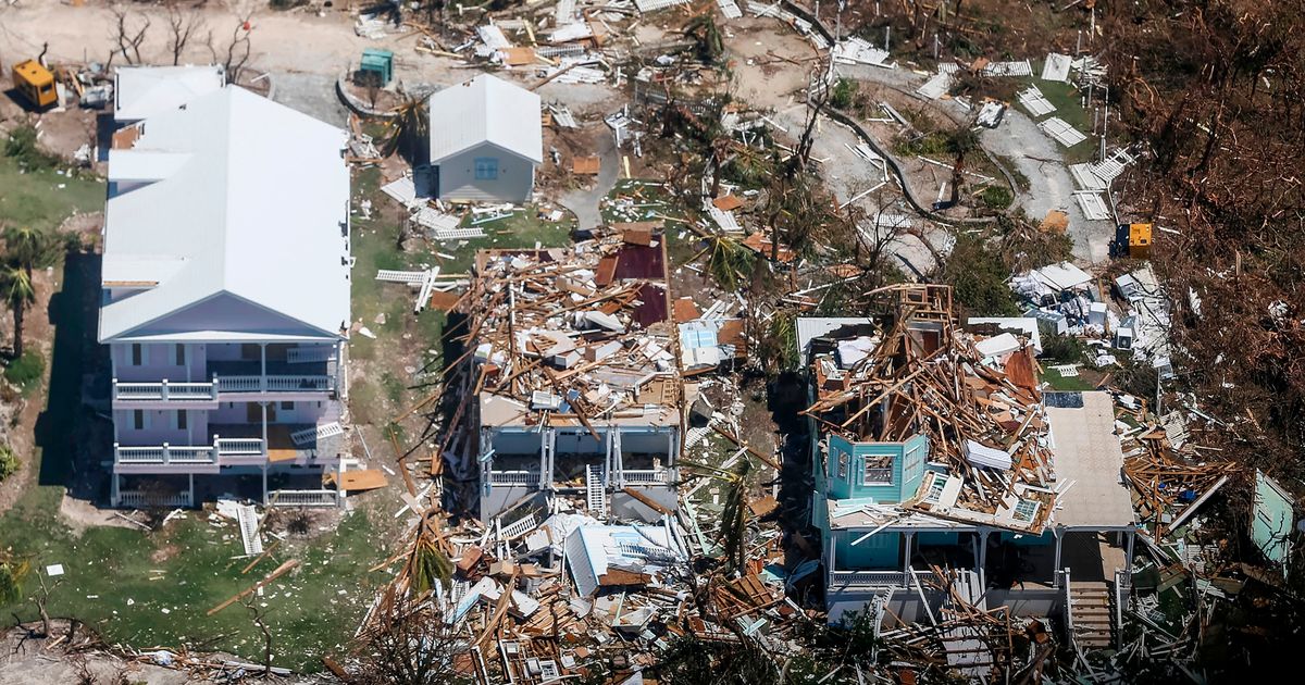 113 Animals Killed After Shocking Storm Surge Hit Bahamas Shelter In ...