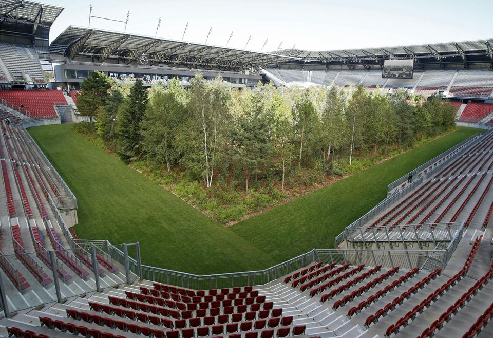 Ένα δάσος μεγαλώνει μέσα σε ένα γήπεδο ποδοσφαίρου στη