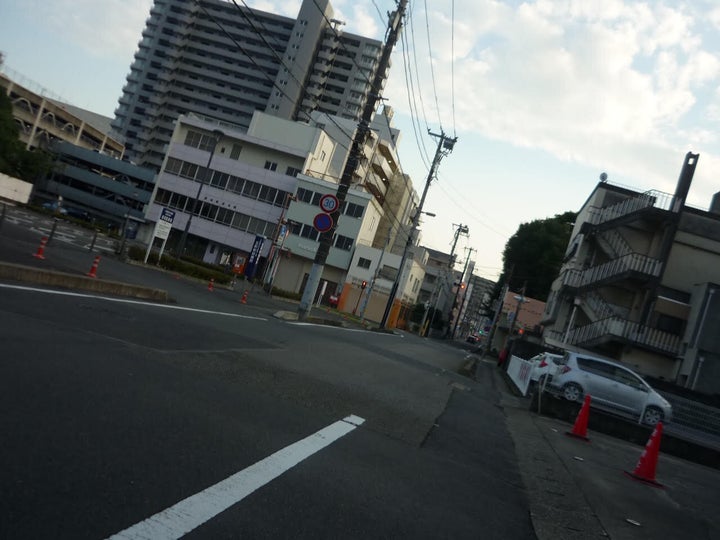 白鳥さんが散歩中に、気が向くままにシャッターを押し撮影した写真