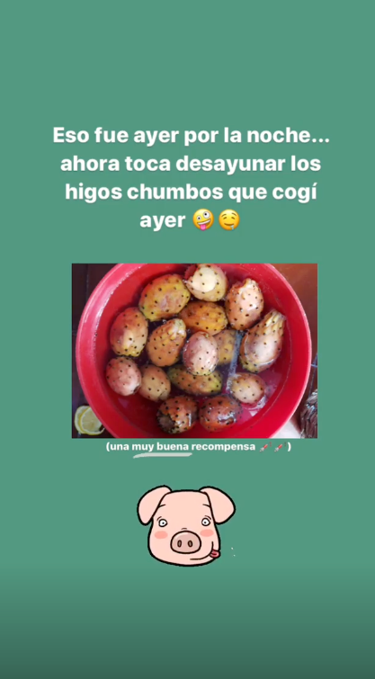 Captura de pantalla de Instagram Stories de Mercedes Milá.