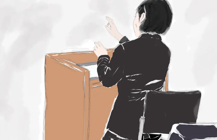 典型的で 最悪なケース 精神科医が法廷で語ったdvの 車輪構造 と児童虐待 目黒5歳児虐待死裁判 証人尋問 ハフポスト