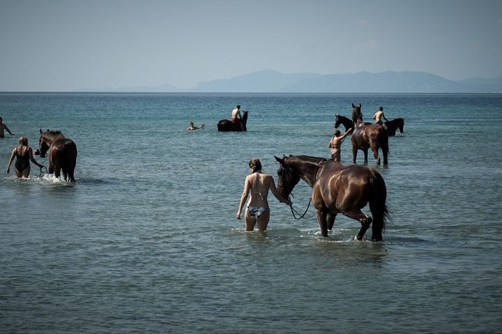 Και με άλογο στην παραλία του Σχινιά; Nαι, η εικόνα είναι από τον Ιούλιο του 2018. Ο νόμος, προφανώς, επιτρέπει και αυτό - και σίγουρα δεν είναι το χειρότερο που θα μπορούσε να συμβαίνει.