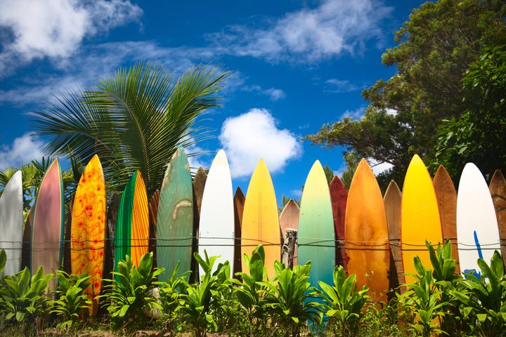There are many rules when it comes to surf etiquette.&nbsp;