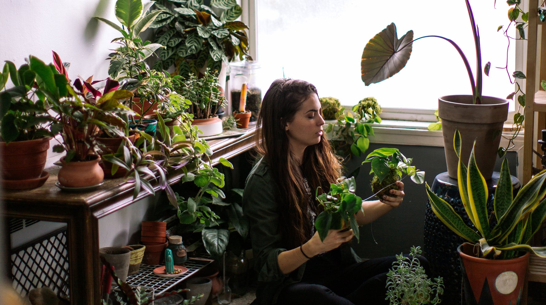 Why Millennials Are Suddenly So Obsessed With Houseplants | HuffPost Life