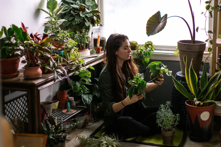 &ldquo;There is something that is just completely awe-inspiring about having a living organism that you maybe get with one or two leaves ... and you give it a little bit of water, and it literally turns into something else in front of you,&rdquo; one plant-lover said.
