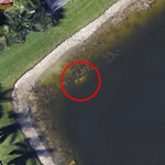 Google Earth Solves Mystery Of Man Who Vanished 22 Years Ago By Locating His Skeletal