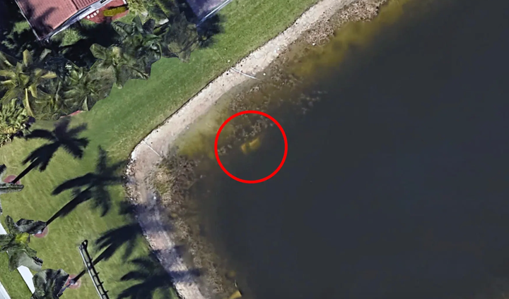 Thanks to the zoom function on Google Earth, one eagle-eyed user was able to spot Moldt's submerged car