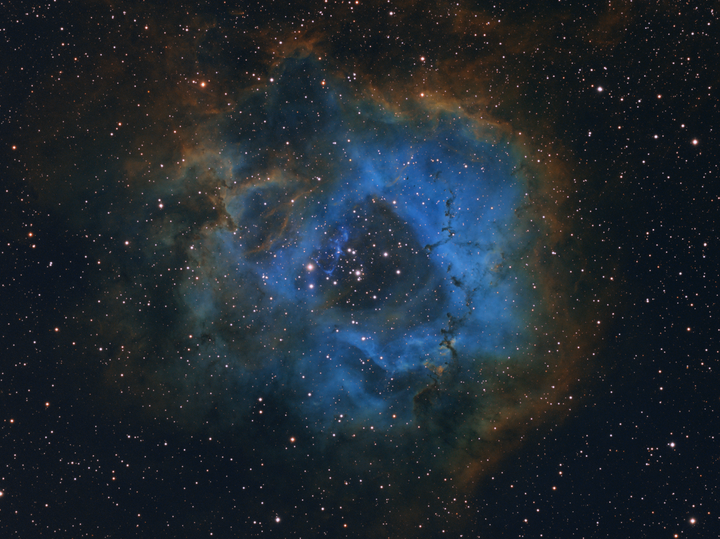 Stellar Flower, by Davy van der Hoeven.Once the 11-year-old photographer decided to capture a deep sky image, he started researching online for nebulae and came across the magnificent Rosette Nebula. With the help of his father he built the equipment and together, over three nights in November, captured images images of the Rosette Nebula using different filters. 