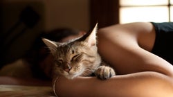 ¿Dormir o no dormir con mi mascota? He ahí la