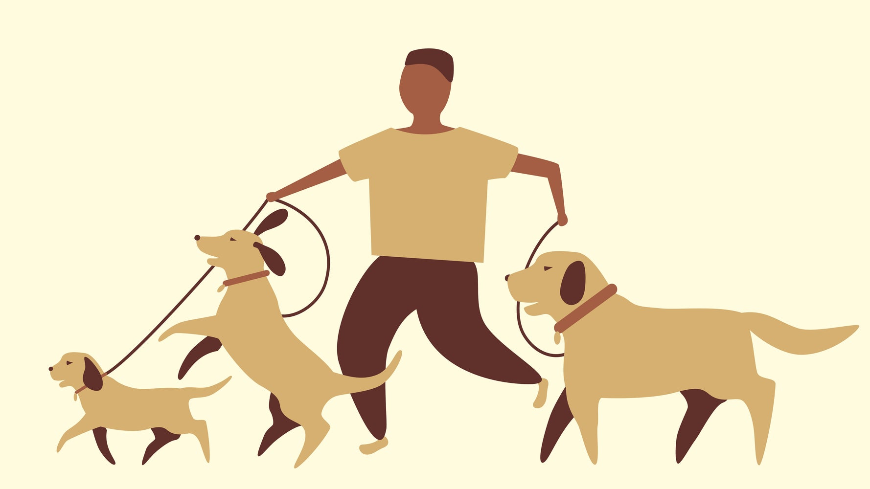 Cuántas veces al día tengo que sacar de paseo al perro | El HuffPost Life