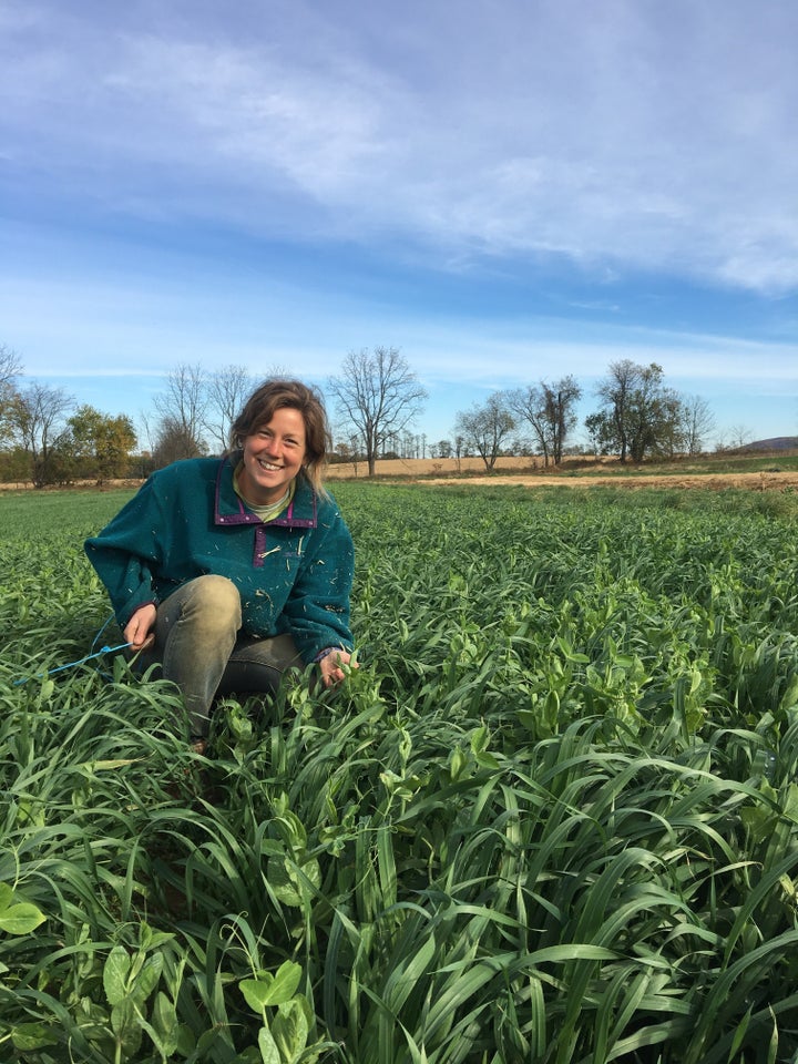 The author in the fields.