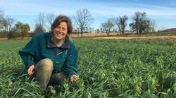 “Après la fac, j’ai décidé de devenir agricultrice. Voici pourquoi, et ce que ça