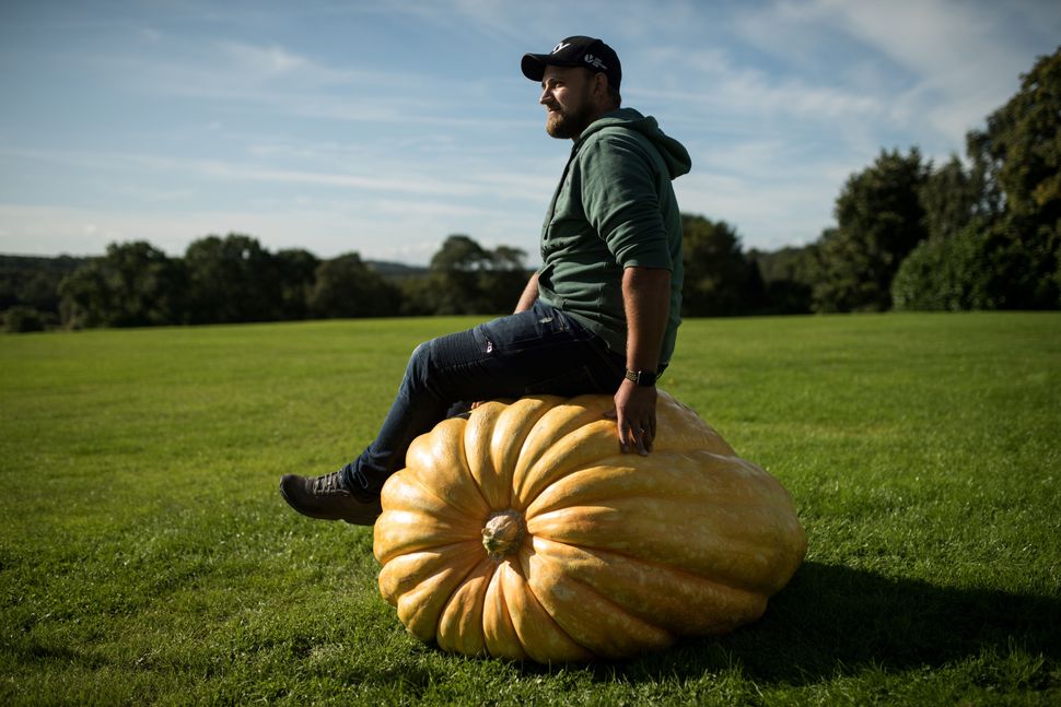 Ο καλλιεργητής, Ρίτσαρντ Μαν φωτογραφίζεται με την κολοκύθα του βάρους 290 κιλών, με την οποία κέρδισε το πρώτο βραβείο για την πιο βαριά κολοκύθα στον διαγωνισμό για τα γιγαντιαία λαχανικά, κατά την πρώτη μέρα του Φθινοπωρινού Διαγωνισμού Λουλουδιών, στο Χάρογκεϊτ της Αγγλίας, στις 13 Σεπτεμβρίου.