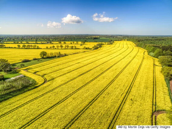 The New Farm: Our Ten Years on the Front Lines of the Good Food Revolution