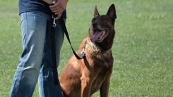 Θλίψη στην ΕΛ.ΑΣ.: Ποιος ήταν ο «Αεκτζής» αστυνομικός σκύλος