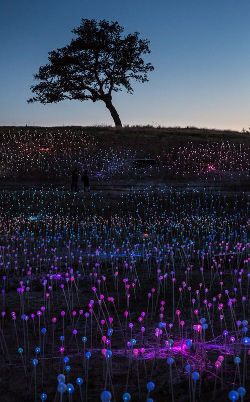 Περισσότερες από 58.000 σφαίρες οπτικών ινών καλύπτουν μια πλαγιά σε ένα έκθεμα χρώματος και φωτός σε μια εγκατάσταση του Μπρους Μουνρο, κοντά στην περιοχή Πάσο Ρόμπλες της Καλιφόρνια.