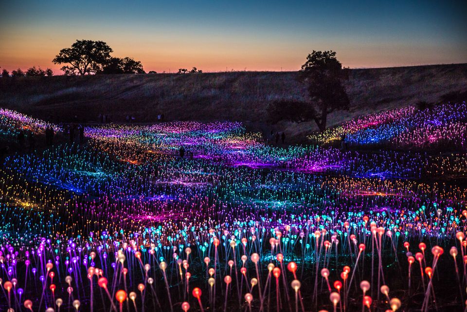 Περισσότερες από 58.000 σφαίρες οπτικών ινών καλύπτουν μια πλαγιά σε ένα έκθεμα χρώματος και φωτός στο έργο του Μουνρο.