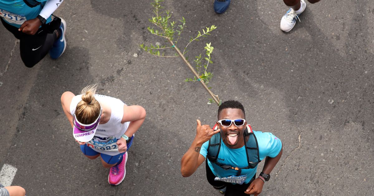Running With Tree Strapped To Back Is The Key To Winning Cape Town Marathon